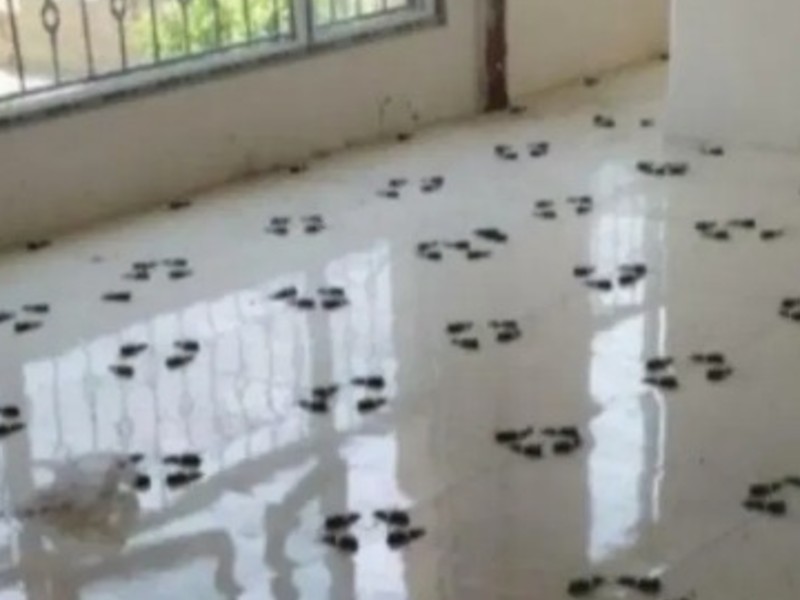 انجام ارائه کلیه خدمات کاشی کاری